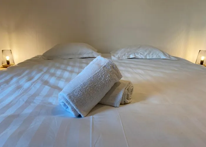 公寓 Les Cosy De - Urban Jungle - 4 Etoiles 南锡