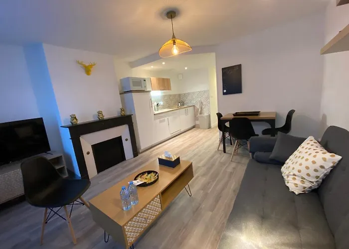 Les Cosy De - Urban Jungle - 4 Etoiles 公寓 南锡